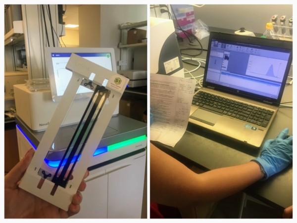 Work within the sequencing core at OMRF