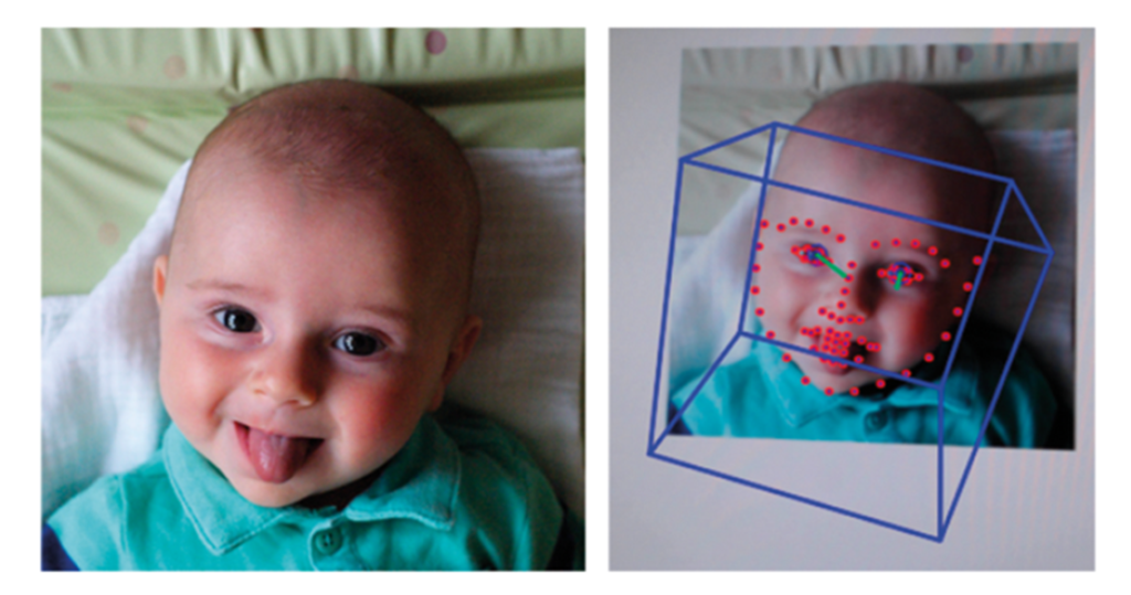 Example of the automatic detection of facial features. Here, open-source software captures both the overall head position (blue box) and facial features (red dots) in a video of an infant.