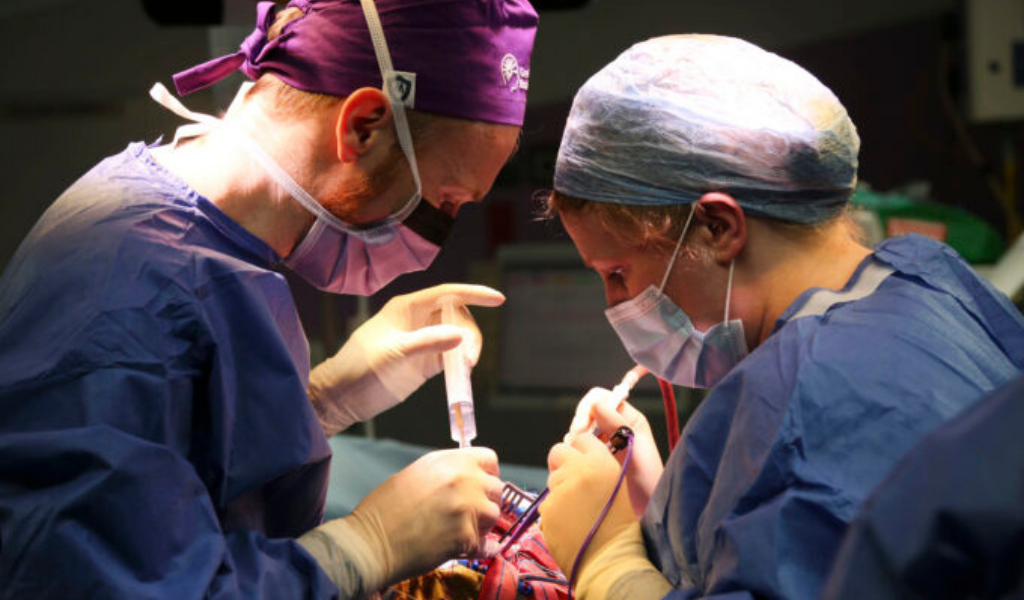 Two surgeons operating on a brain tumour
